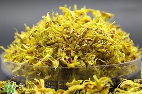 鐵皮石斛開花了怎么辦？鐵皮石斛的花怎么吃