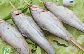 馬口魚(yú)怎么釣？馬口魚(yú)什么時(shí)候釣最好