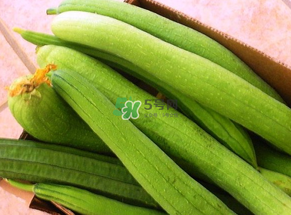 7月份吃什么蔬菜？七月份吃什么蔬菜？