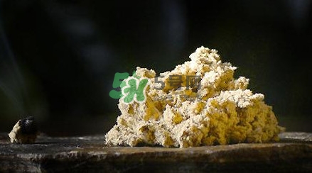 艾絨怎么保存不發(fā)霉？艾絨如何保存不受潮