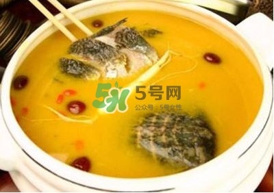 甲魚湯怎么做？甲魚湯的做法