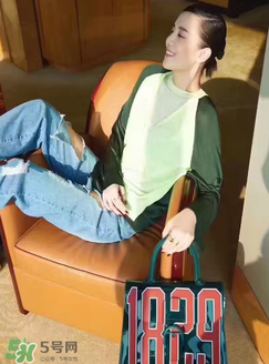 delvaux1829包多少錢(qián)？delvaux1829透明手袋專柜價(jià)格