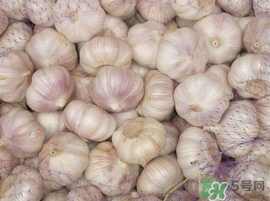 新蒜頭什么時(shí)候上市？新蒜頭幾月份上市