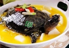 甲魚(yú)不能和什么一起吃？甲魚(yú)不能跟什么食物一起吃