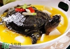 甲魚湯孕婦能喝嗎？甲魚湯孕婦可以喝嗎