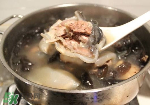 甲魚湯孕婦能喝嗎？甲魚湯孕婦可以喝嗎