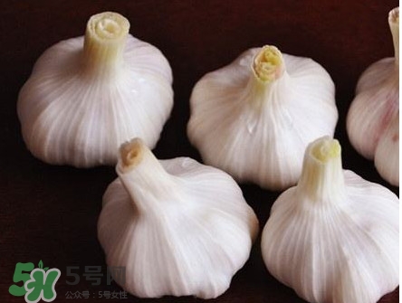 新蒜頭怎么弄成老蒜頭？新蒜頭和老蒜頭的區(qū)別