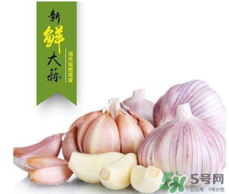 新蒜頭什么時(shí)候上市？新蒜頭幾月份上市