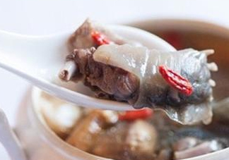 甲魚湯怎么做？甲魚湯的做法