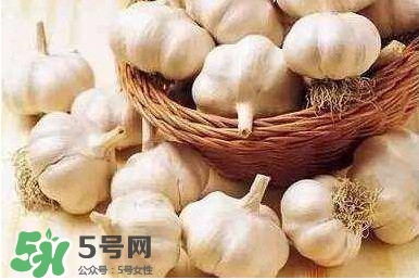 新蒜頭怎么保存不發(fā)芽？新蒜頭怎么存放