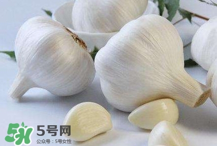 新蒜頭怎么保存不發(fā)芽？新蒜頭怎么存放