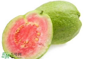 番石榴什么時候吃最好？番石榴什么季節(jié)吃最好