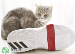 adidas dame3上腳怎么樣？阿迪達(dá)斯利拉德三代測(cè)評(píng)