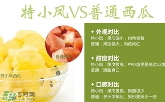 特小鳳西瓜孕婦能吃嗎？特小鳳西瓜孕婦可以吃嗎