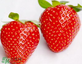 六月份還有草莓嗎？6月份的草莓能吃嗎？