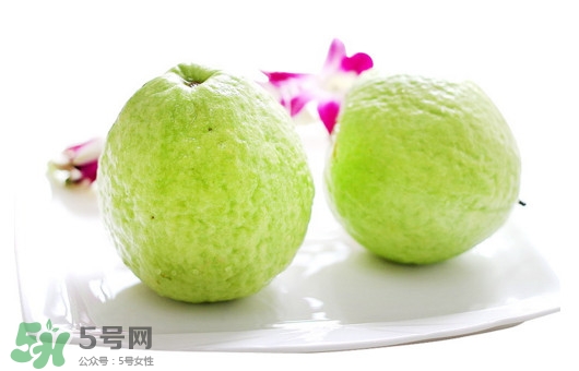 番石榴什么時候吃最好？番石榴什么季節(jié)吃最好