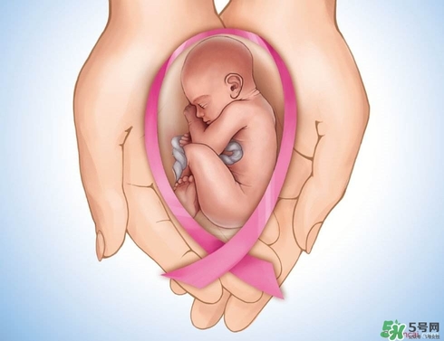 生育保險(xiǎn)能報(bào)多少錢？生育保險(xiǎn)報(bào)銷條件、流程