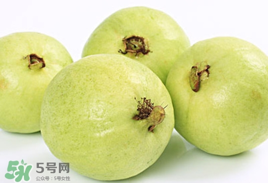 番石榴什么時(shí)候成熟？番石榴什么時(shí)候上市