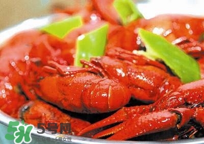 蝦黃孕婦能吃嗎？蝦黃在哪個(gè)位置圖解