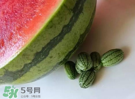 迷你西瓜是轉(zhuǎn)基因水果嗎？迷你西瓜是不是轉(zhuǎn)基因？