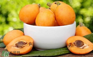 枇杷花怎么煲湯？枇杷花煲湯搭配什么最佳？