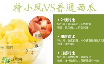 特小鳳西瓜多少錢一斤2017？特小鳳西瓜價格