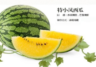 特小鳳西瓜是轉(zhuǎn)基因嗎？特小鳳西瓜是不是轉(zhuǎn)基因