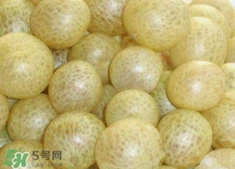 怎么腌制黃皮果？黃皮果的腌制方法