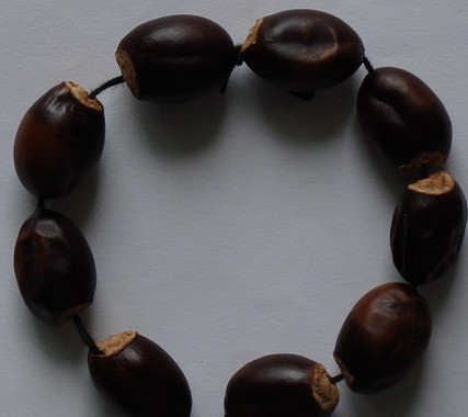 荔枝核能治糖尿病嗎？荔枝核可以降血糖嗎