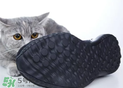 adidas alphabounce上腳怎么樣？阿迪達(dá)斯阿爾法小椰子測(cè)評(píng)