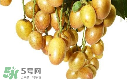 黃皮果什么時候成熟？黃皮果什么時候上市