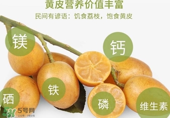 如何種植黃皮果？黃皮果怎么種植？