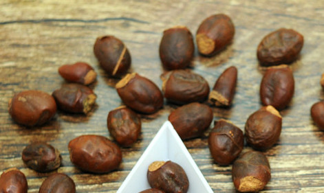 荔枝核能治糖尿病嗎？荔枝核可以降血糖嗎