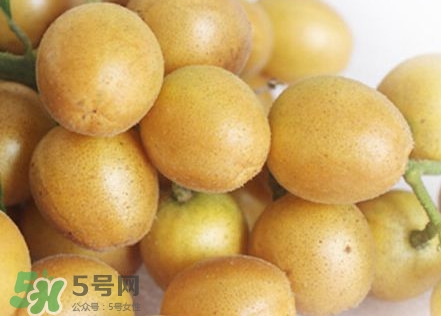 雞心黃皮幾年才掛果？雞心黃皮如何種植管理