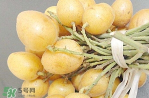 黃皮果多少錢一斤2017？黃皮果價格