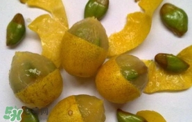 黃皮果多少錢一斤2017？黃皮果價格