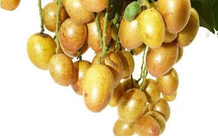 黃皮果有多少種顏色？黃皮果核有什么用處嗎