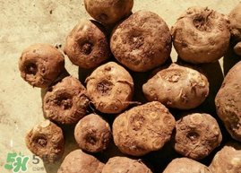 魔芋可以放冰箱嗎？魔芋能放冰箱冷藏嗎？