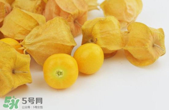 姑娘果是寒性嗎？姑娘果是涼性還是熱性？