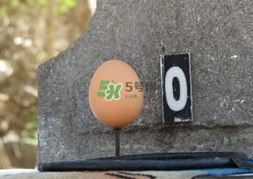 夏至雞蛋為什么立著？夏至是不是有吃雞蛋這個說法？