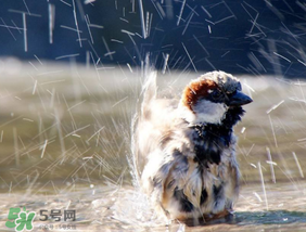 六月份雨水多嗎？2017年6月份雨水多嗎？