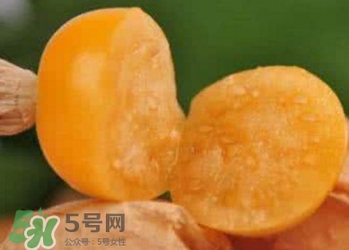 姑娘果是寒性嗎？姑娘果是涼性還是熱性？