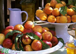 油桃和杏子能一起吃嗎？油桃能和杏子一起吃嗎？