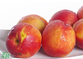 吃油桃會拉肚子嗎？拉肚子可以吃油桃嗎？