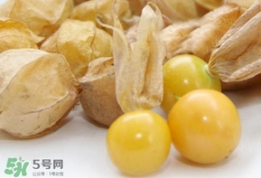 姑娘果什么時候成熟？姑娘果什么時候上市