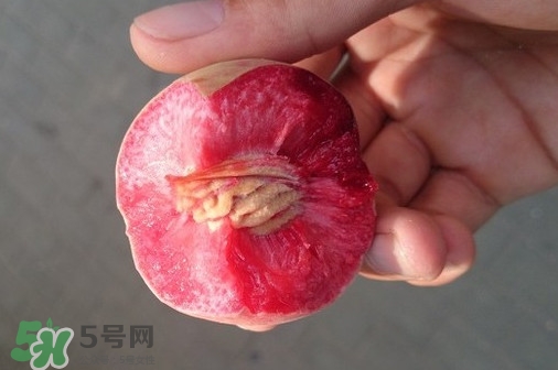 血桃產(chǎn)地在哪？血桃哪些地方產(chǎn)