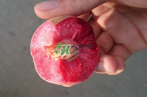 血桃多少錢一斤2017？血桃哪個品種最好吃