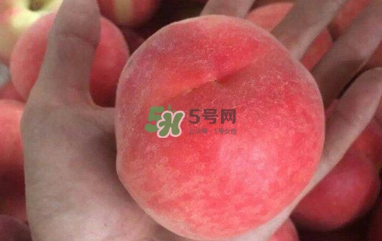 紅不軟桃?guī)自路莩墒?？紅不軟桃什么時(shí)候成熟