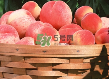 血桃多少錢一斤2017？血桃哪個品種最好吃