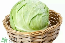 圓白菜是包菜嗎？圓白菜是大頭菜嗎？